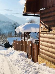 Viktória- neakceptujeme mladé partie