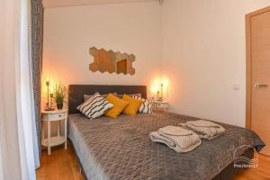 Cozy apartaments "Gintarine Pusis" Palanga