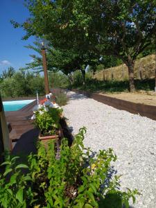 AGRITURISMO TERRE VERAE