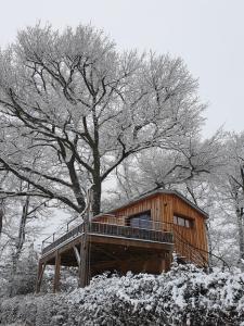 Maisons de vacances La cabane perchee du faucon : Maison 1 Chambre