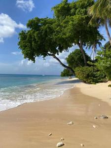 Westmoreland Hills - Mount Standfast - St James