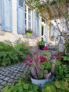 Maisons d'hotes Le Domaine De Pairis : photos des chambres