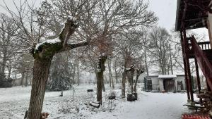 Maisons de vacances Gite dans le parc d'une maison ancienne pres des bords de Loire : photos des chambres