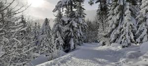 Le Domaine De Pairis photo 6