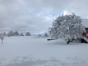 Appartements Gite Leonline sur les hauteurs de Masevaux -au pied des Vosges : photos des chambres