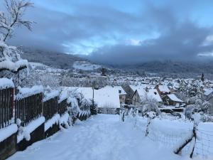 Appartements Gite Leonline sur les hauteurs de Masevaux -au pied des Vosges : photos des chambres