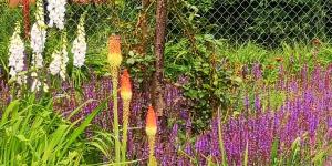 Pszczeli Ogród - agroturystyka z jacuzzi