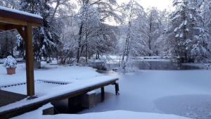 Chalets Insolite Chalet de peche Serenite - Bien Etre : photos des chambres