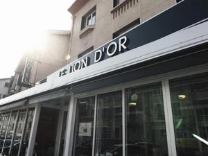 Hotels Hotel Restaurant Le Lion d'Or : photos des chambres