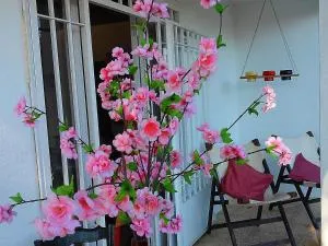 Doree 331 - Vinyols i els Arcs