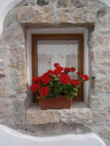 Olbia Domus Inn img66