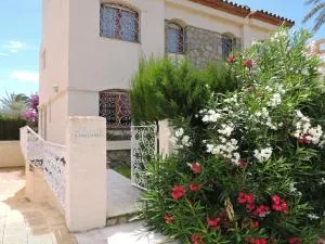 Doree 489 - Hospitalet de l'Infant