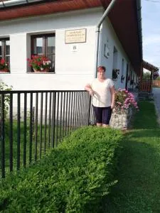 Kemencés Vendégház - Mikóháza