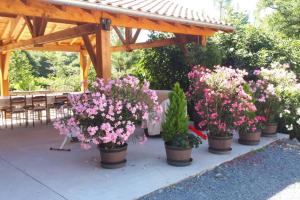 Maisons de vacances Le Moulin du Chateau : photos des chambres