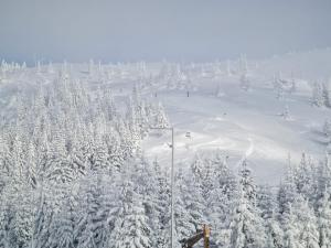 Sunčani Breg-Sunčana KOP studio