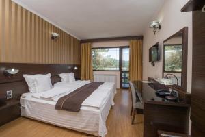 Double Room room in Family Hotel Hebar