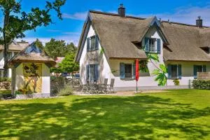 Pirateneiche - Klein Gelm