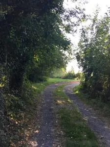 杜乔卡巴那赫伯格蒙特伊索利特斯酒店 - Beaudignies