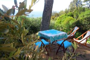 MINI SUITE ULIVO