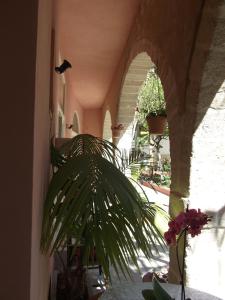 Antica Corte delle Ninfee, Historical Private Villa