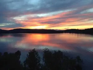 Dimitra Apartments - Mikro