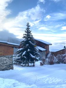 Chalets Chalet LEON : photos des chambres