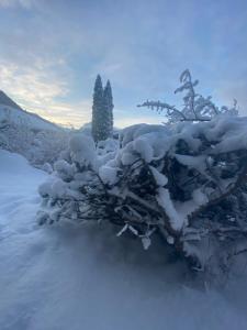 Lodges Lodge Jardin Secret - Proprietes Mont Amour : photos des chambres