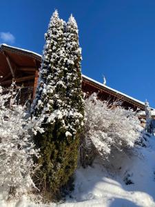 Lodges Lodge Jardin Secret - Proprietes Mont Amour : photos des chambres