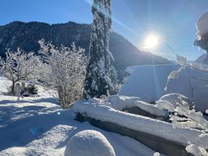 Lodges Lodge Jardin Secret - Proprietes Mont Amour : photos des chambres