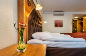 Double or Twin Room room in Hotel Vallonia