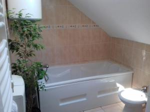 APARTMANI Emerald Dream