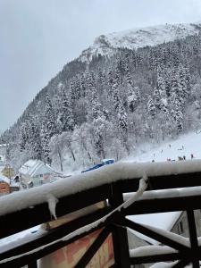 Apartment with Mountain View room in Vershina Apartment