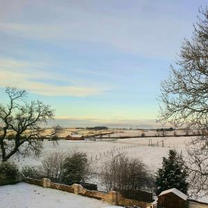 The Green Monkey Lux Suite at The Grumpy Schnauzer B&B Private Hot Tub, Gym, Breakfast, Stunning!