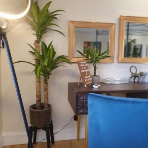 The Green Monkey Lux Suite at The Grumpy Schnauzer B&B Private Hot Tub, Gym, Breakfast, Stunning!