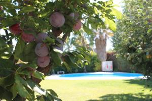 De Los Andes Hotel Boutique