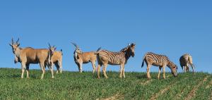 Melk Houte Bosch Manor House