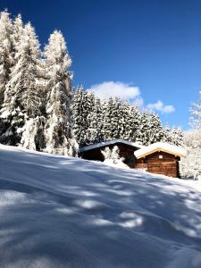 Appartements Chalet Mountain Vibes : photos des chambres