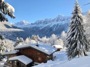 Chalet Mountain Vibes