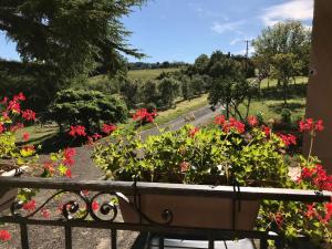 B&B / Chambres d'hotes Les Cedres du Linard, Chambres d'Hotes B&B Near Lascaux, Montignac, Sarlat-la-Caneda, Dordogne : photos des chambres