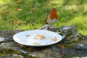 Belle longère en campagne à Larmor Baden