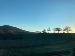 Pedrales Orgosolo img49