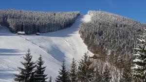 PH Apartments Harrachov - Rýžoviště