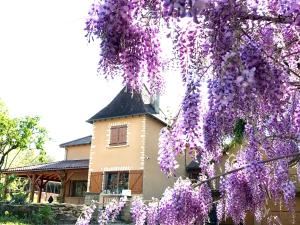 B&B / Chambres d'hotes Les Cedres du Linard, Chambres d'Hotes B&B Near Lascaux, Montignac, Sarlat-la-Caneda, Dordogne : photos des chambres