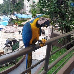 Apartamentos Ecologic PARK - Caldas Novas