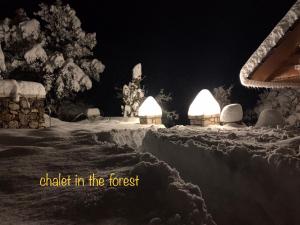 Chalet in the Forest Achaia Greece