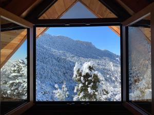 Chalet in the Forest Achaia Greece