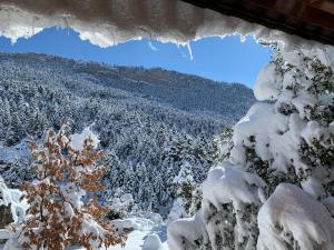 Chalet in the Forest Achaia Greece