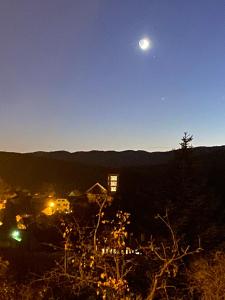 Maisons de vacances Le Moonloft insolite Tiny-House dans les arbres & 1 seance de sauna pour 2 avec vue panoramique : photos des chambres