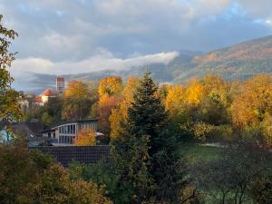 Maisons de vacances Le Moonloft insolite Tiny-House dans les arbres & 1 seance de sauna pour 2 avec vue panoramique : Maison 1 Chambre