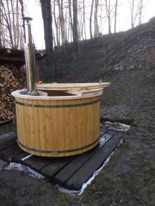 U ponocného pod Ondřejníkem